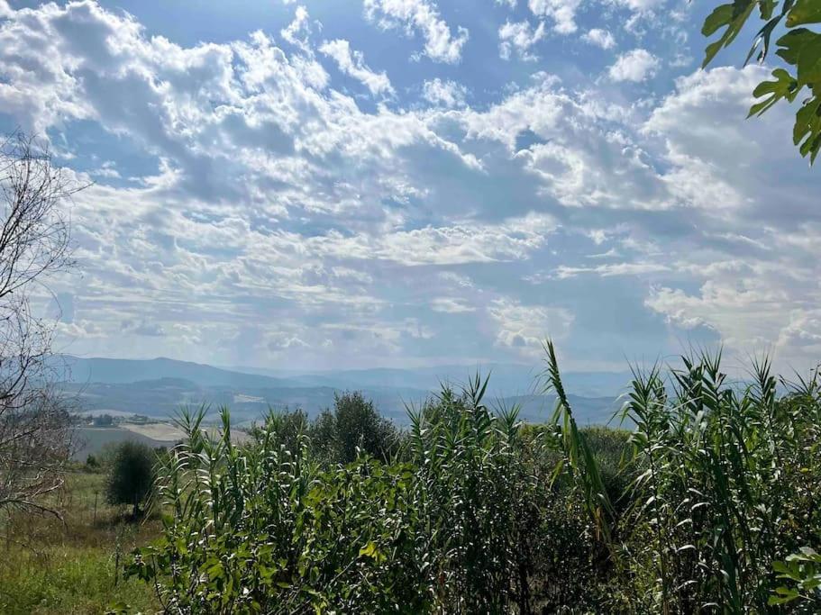 Windrose Blue Blossom Volterra Esterno foto