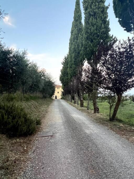 Windrose Blue Blossom Volterra Esterno foto